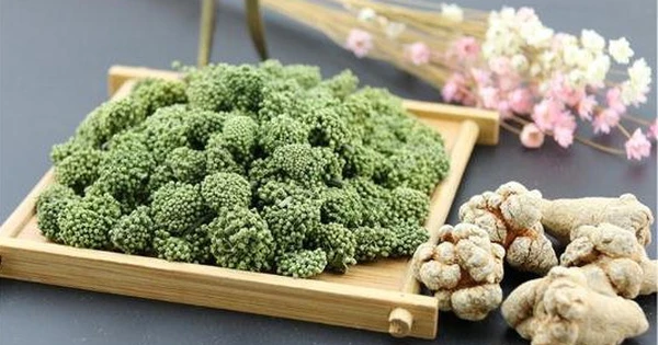 Nụ Và Củ Tam Thất