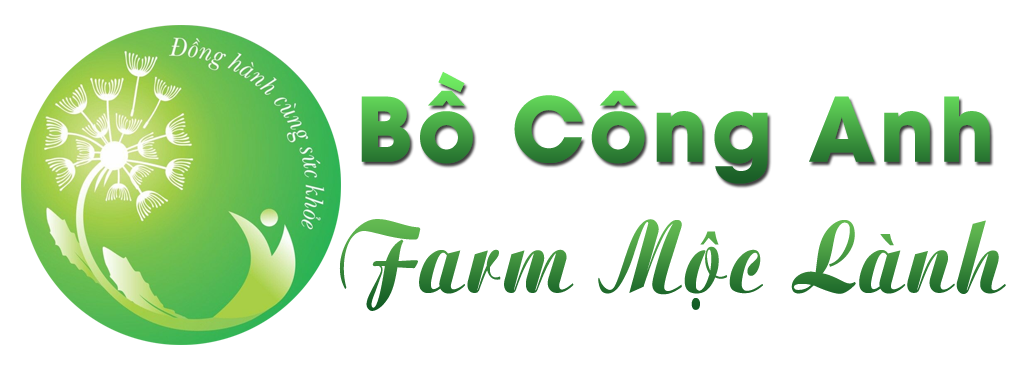 Bồ Công Anh Farm Mộc Lành
